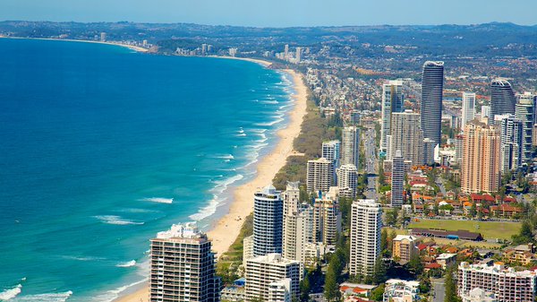 Strong 2016 Predicted For Gold Coast Real Estate
