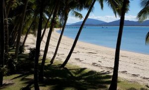 Mayfair 101 to spend $1.6 billion on Cassowary Coast expansion after Dunk Island purchase
